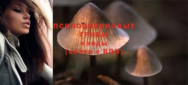 ешки Абинск