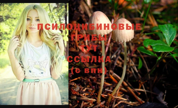 крисы Алексеевка